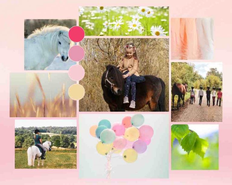 Pony Kindergeburtstag feiern - Reitschule Ponyzauber Gechingen - Ausreiten