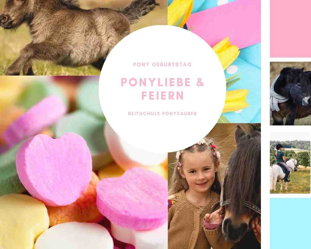Pony Kindergeburtstag feiern - Reitschule Ponyzauber Gechingen