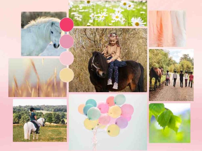 Pony Kindergeburtstag feiern - Reitschule Ponyzauber Gechingen - Ausreiten
