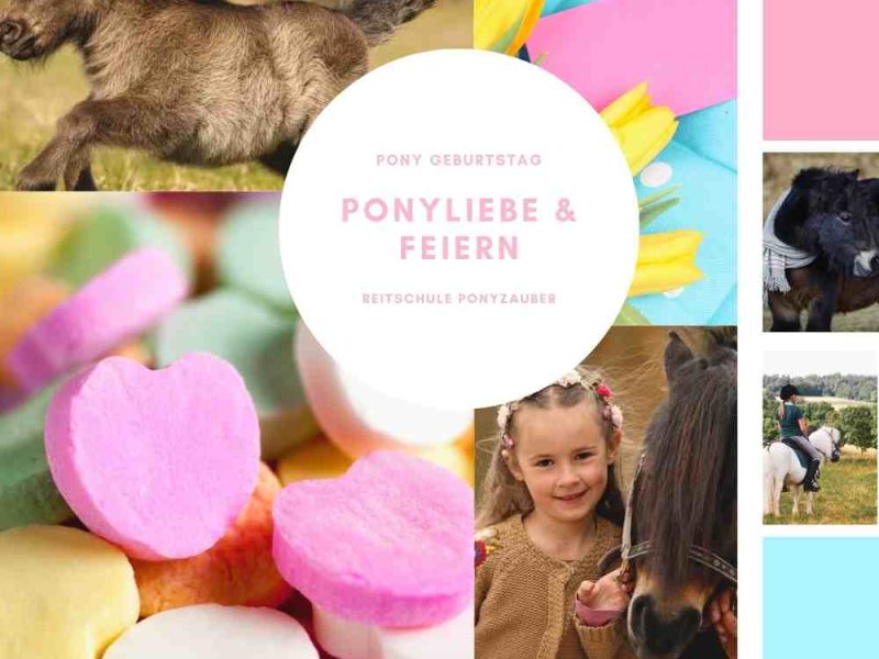 Pony Kindergeburtstag feiern - Reitschule Ponyzauber Gechingen