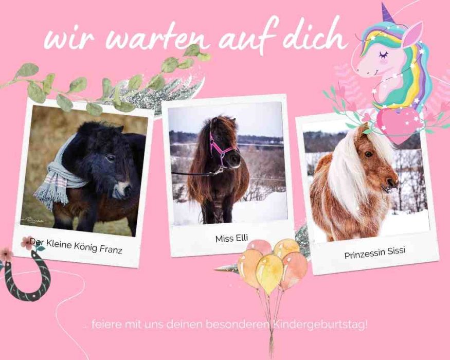 Pony Kindergeburtstag feiern - Reitschule Ponyzauber Gechingen - unsere Ponys